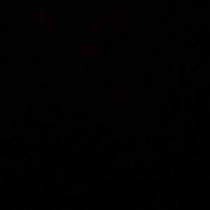 Meet your Posher, Shaleya